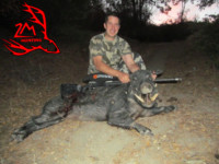 wild boar hunting guides