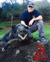 Boar hunting CA guides