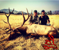 California Elk Hunting