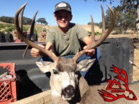 Blacktail Deer hunting CA