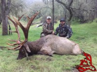 Elk hunting guides