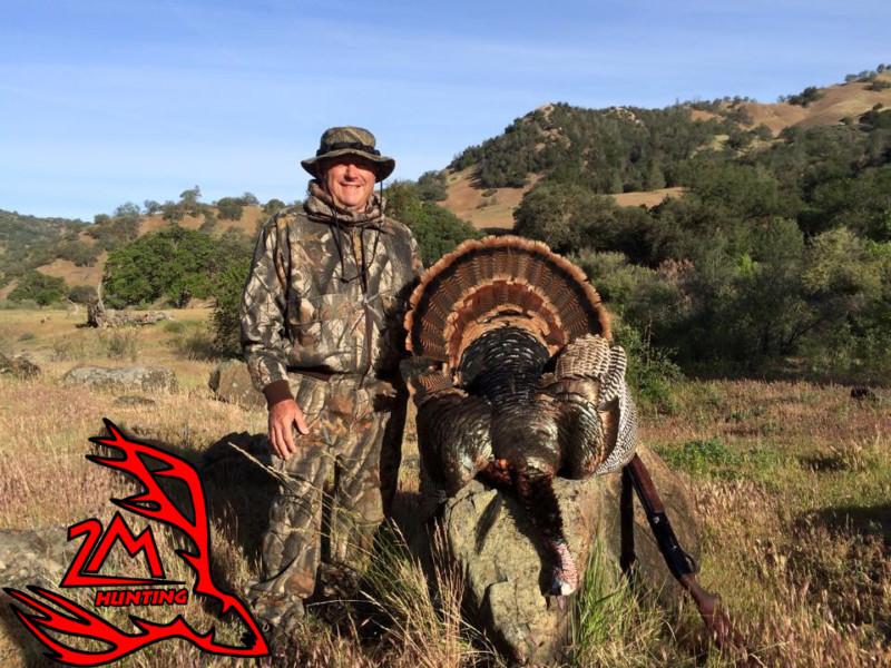 Turkey Hunting Blacktail deer Hunting, Wild Pig Hunting, California