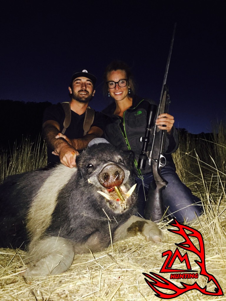 Wild boar hunting california