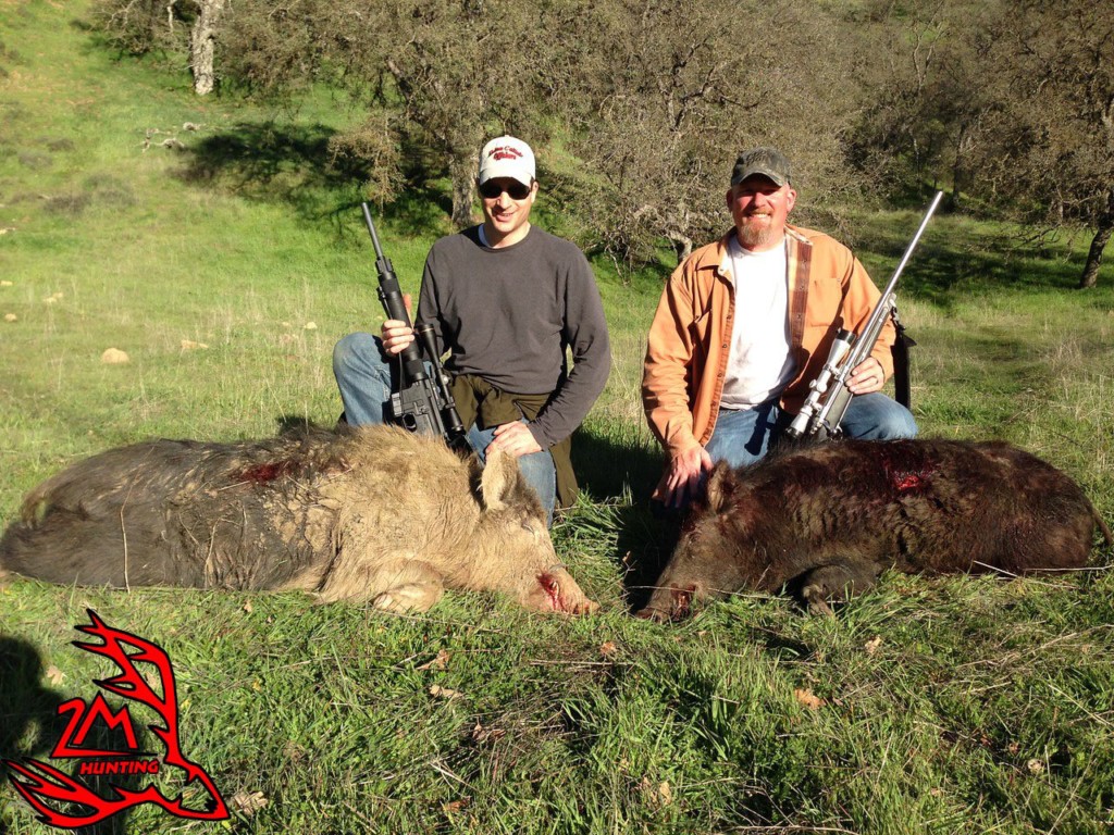 California wild pig hunting