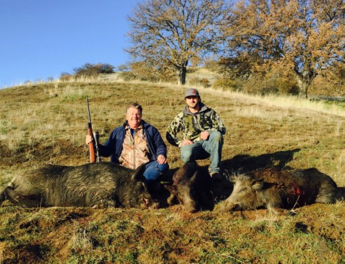 California guided Hog Hunting